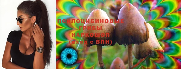 индика Пестово