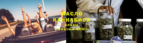 индика Пестово