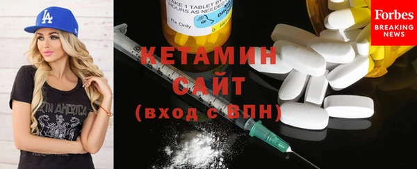 индика Пестово