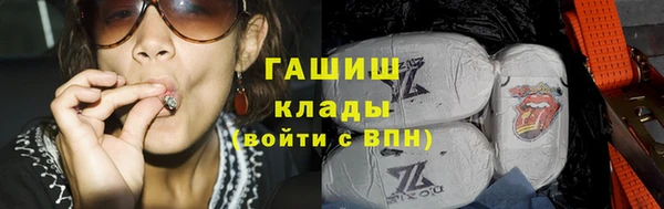 индика Пестово