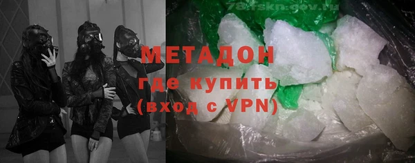 индика Пестово