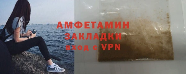 индика Пестово