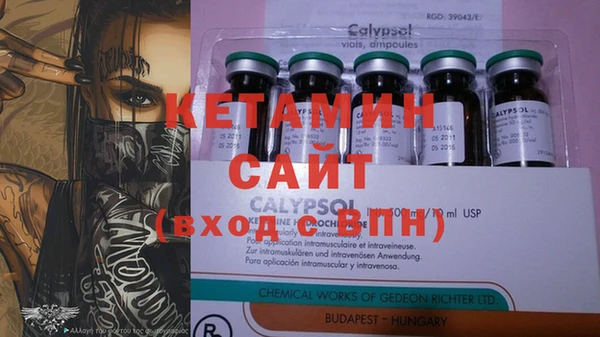 индика Пестово