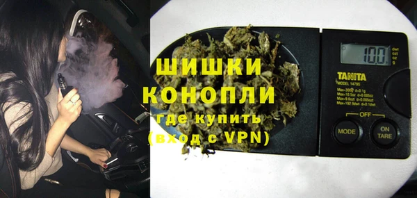 индика Пестово