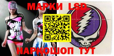 прущие грибы Гатчина