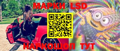 сатива Будённовск