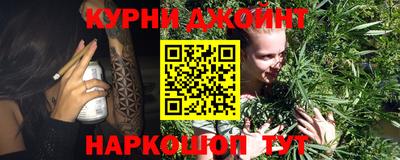 прущие грибы Гатчина