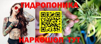 прущие грибы Гатчина