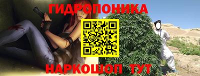 ешки Бийск