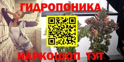 метадон Гатчина