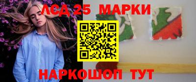 прущие грибы Гатчина