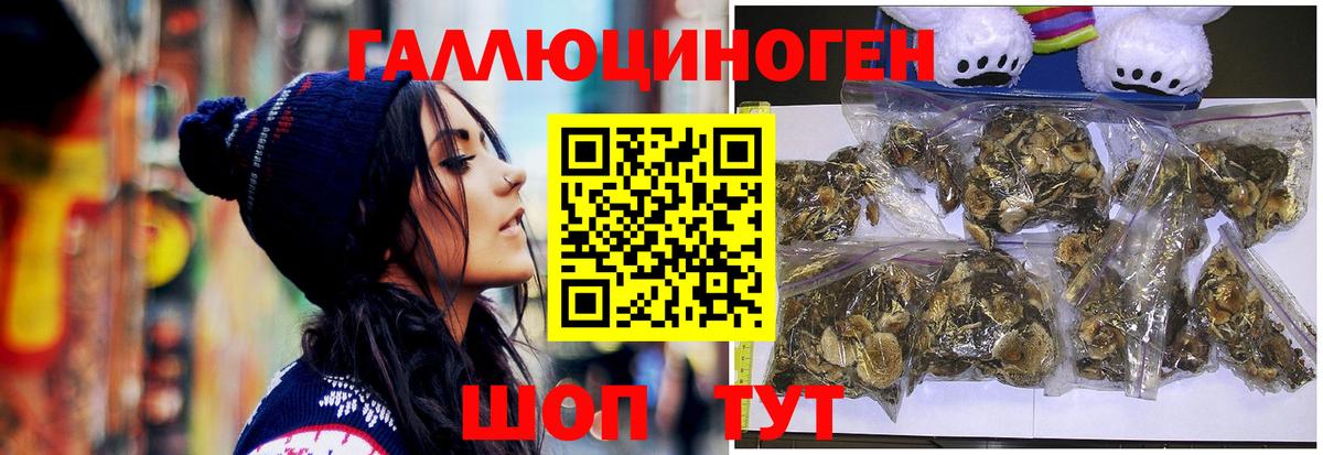 Псилоцибиновые грибы Psilocybe  Волжск 