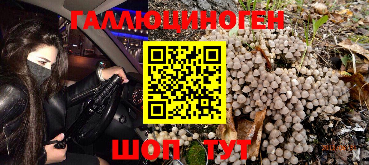 Псилоцибиновые грибы мицелий Волжск