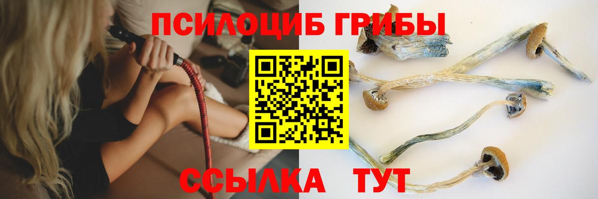 Галлюциногенные грибы мухоморы  Волжск  Псилоцибиновые грибы прущие грибы 